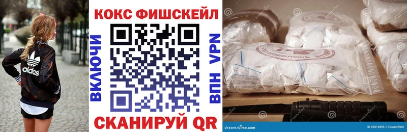 Кокаин Fish Scale  кракен ССЫЛКА  Торопец  где найти  