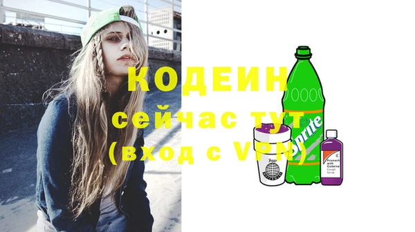 мет Бородино