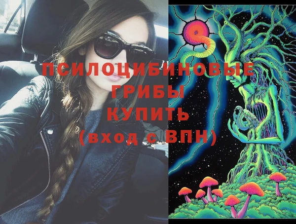 Альфа ПВП Россошь