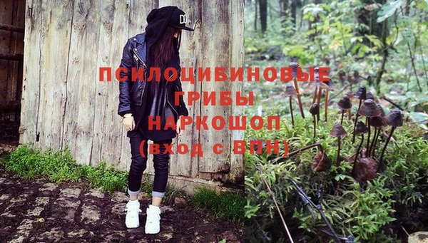 Альфа ПВП Россошь