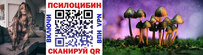 Галлюциногенные грибы Psilocybine cubensis  Торопец 